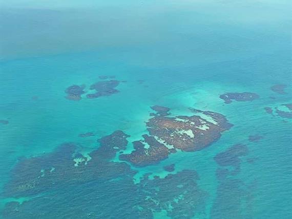 whatsapp image 2025-03-24 at 14.51.27 (1).jpeg