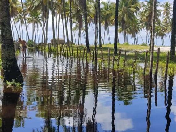 whatsapp image 2025-03-24 at 14.51.24.jpeg