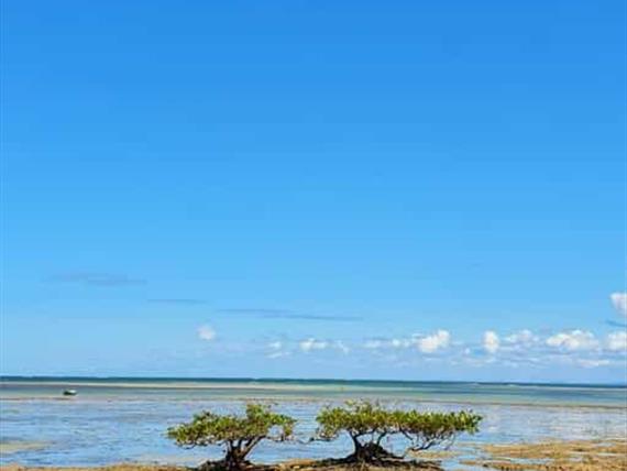 whatsapp image 2025-03-24 at 14.51.26.jpeg