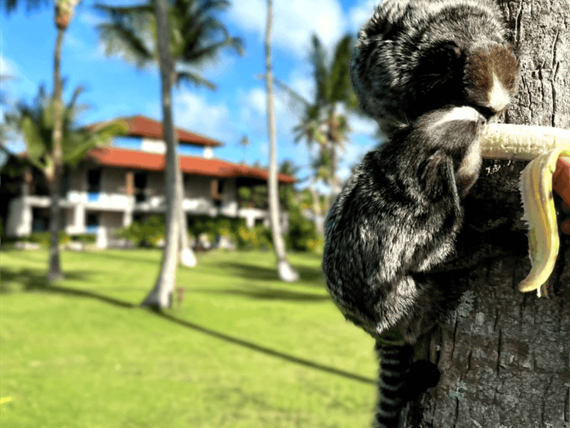 design sem nome (76).png