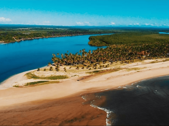 design sem nome (77).png