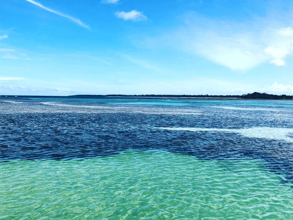 design sem nome (78).png