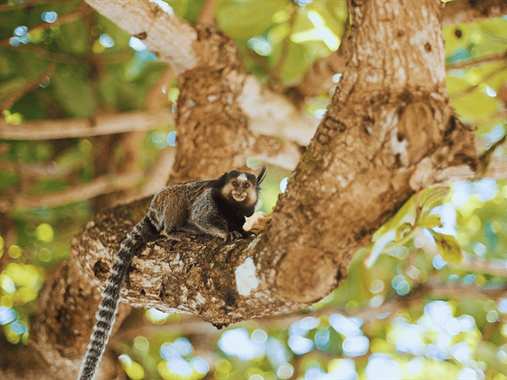 design sem nome (79).png