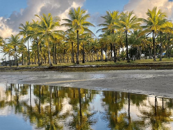 design sem nome (81).png