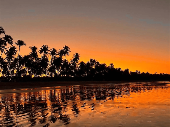 design sem nome (82).png