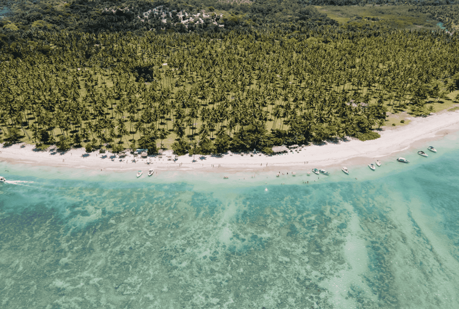 design sem nome (54).png