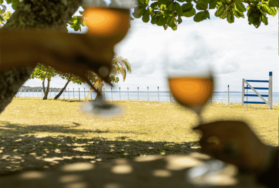 design sem nome (31).png