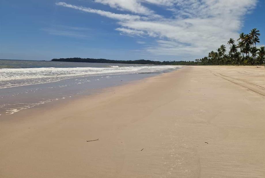 whatsapp image 2025-03-24 at 14.51.32 (1).jpeg