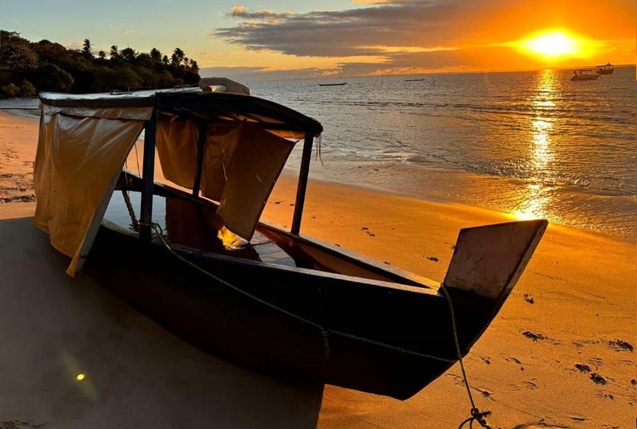 whatsapp image 2025-03-24 at 14.51.30.jpeg