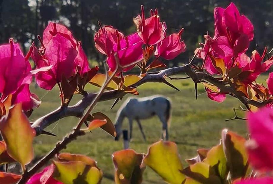 whatsapp image 2025-03-24 at 14.51.30 (3).jpeg