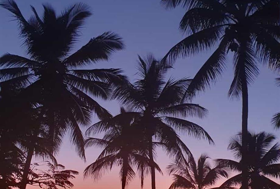 whatsapp image 2025-03-24 at 14.51.30 (1).jpeg