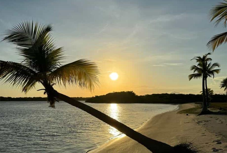 whatsapp image 2025-03-24 at 14.51.27 (3).jpeg