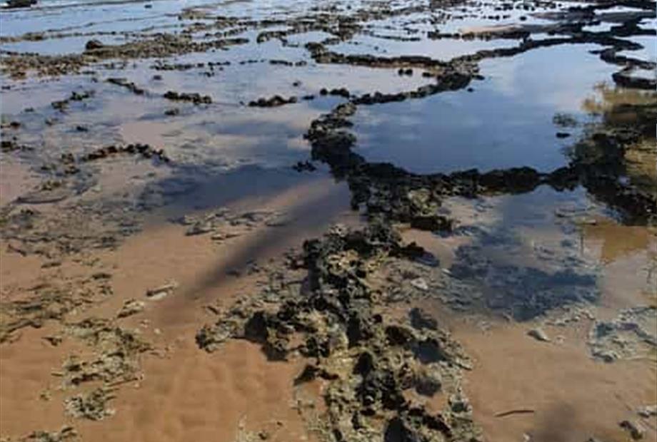 whatsapp image 2025-03-24 at 14.51.24 (1).jpeg