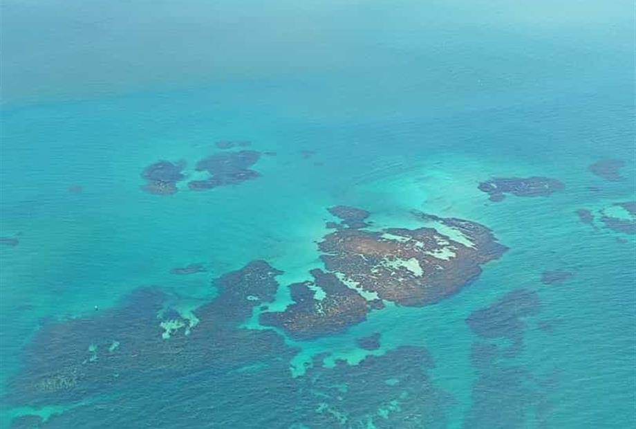 whatsapp image 2025-03-24 at 14.51.27 (1).jpeg