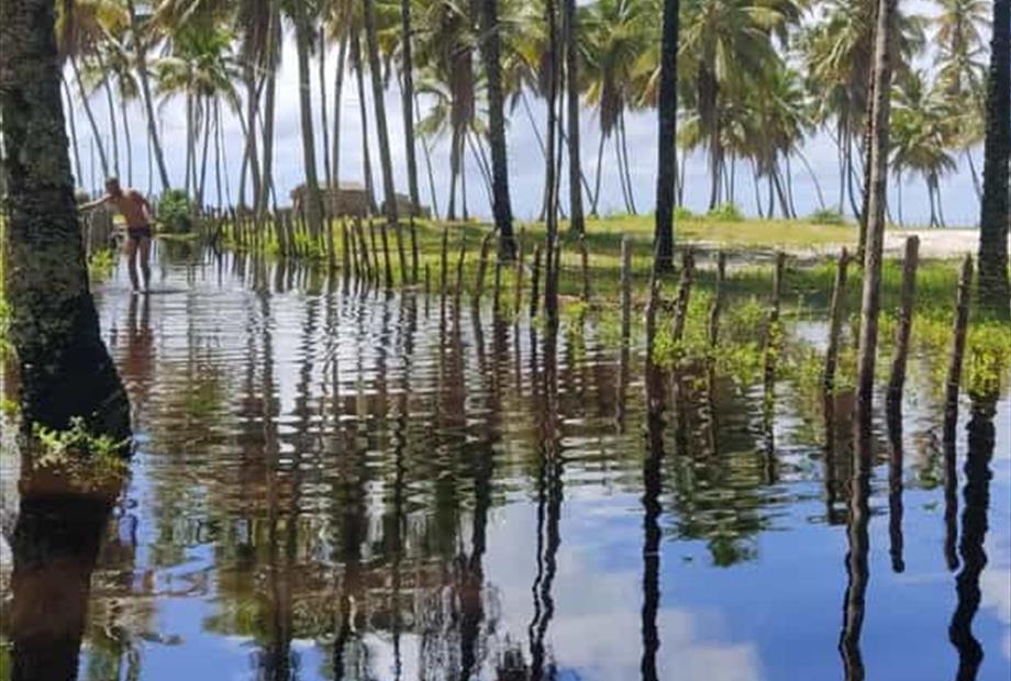 whatsapp image 2025-03-24 at 14.51.24.jpeg