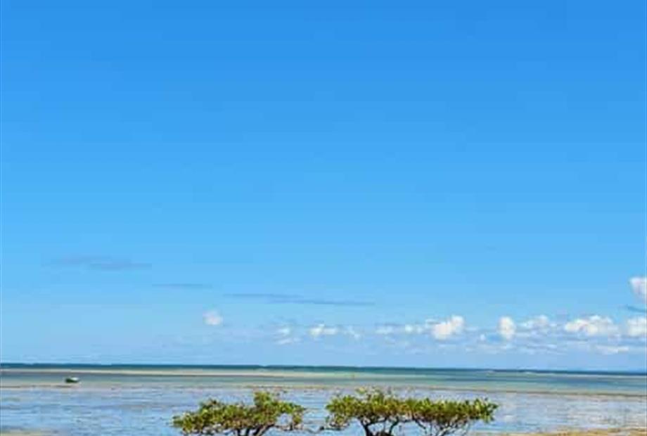 whatsapp image 2025-03-24 at 14.51.26.jpeg