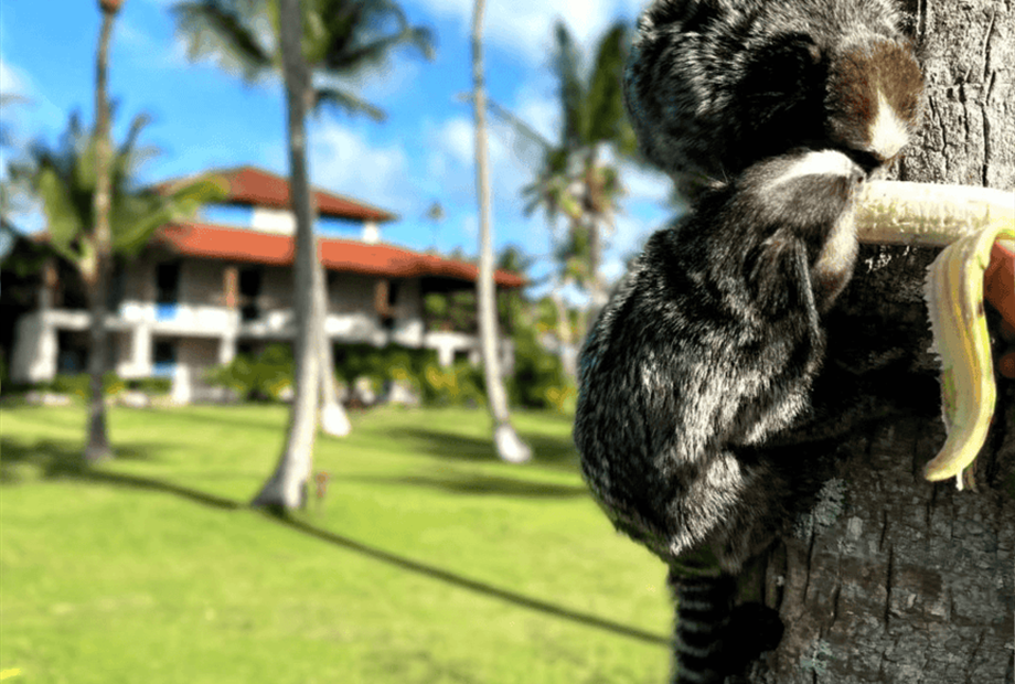 design sem nome (76).png