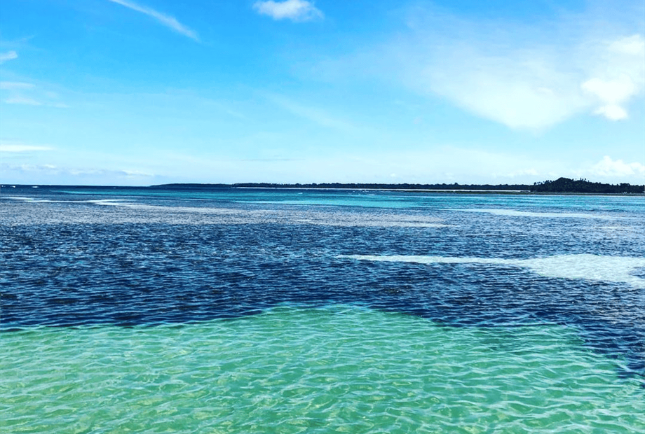 design sem nome (78).png