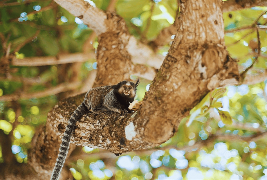 design sem nome (79).png