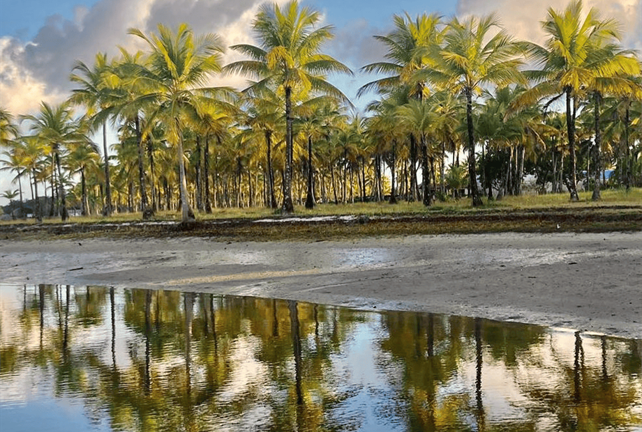 design sem nome (81).png