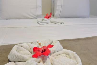 whatsapp image 2026-03-04 at 15.59.37.jpeg