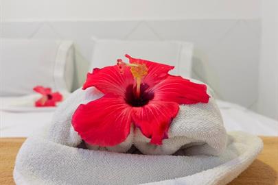 whatsapp image 2026-03-04 at 15.58.22.jpeg