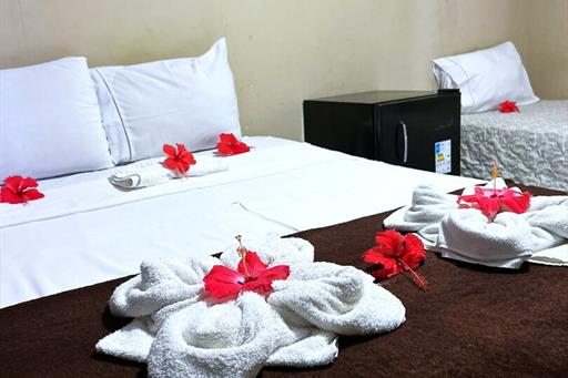 whatsapp image 2026-01-21 at 12.054.58.jpeg