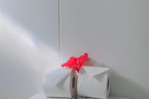 whatsapp image 2026-03-04 at 15.56.05.jpeg