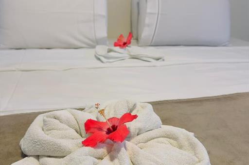 whatsapp image 2026-03-04 at 15.59.37.jpeg