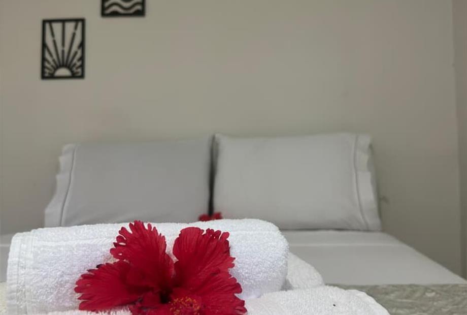 whatsapp image 2026-03-04 at 15.56.05 (1).jpeg