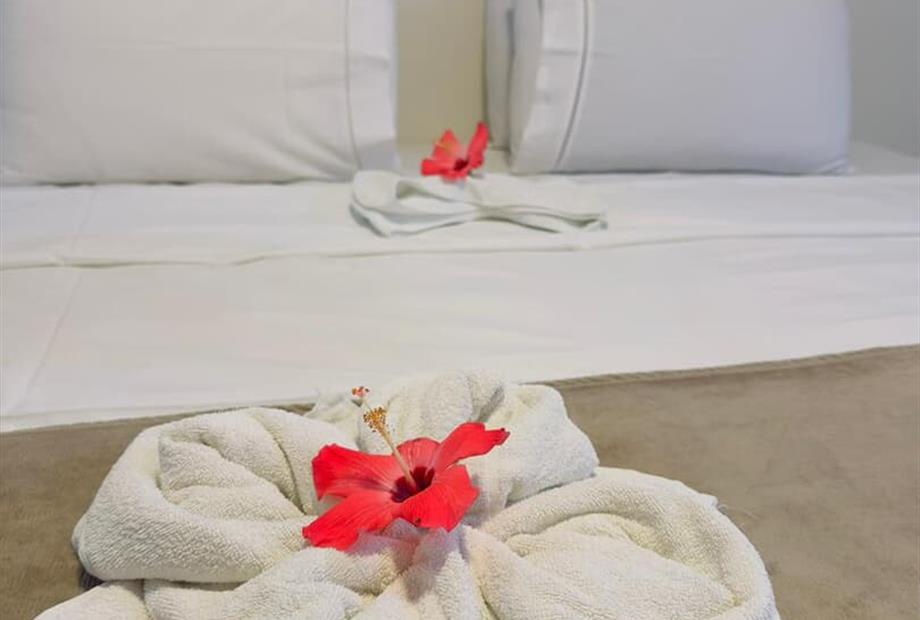 whatsapp image 2026-03-04 at 15.59.37.jpeg