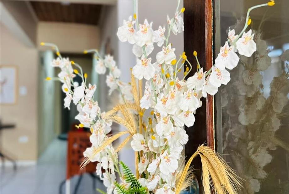 whatsapp image 2026-03-04 at 16.00.55 (1).jpeg