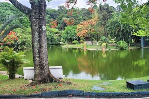 business louveira11 (1).jpg