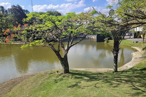 business louveira10 (1).jpg