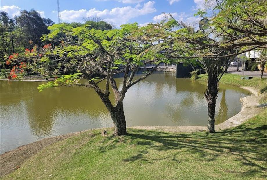 business louveira10 (1).jpg