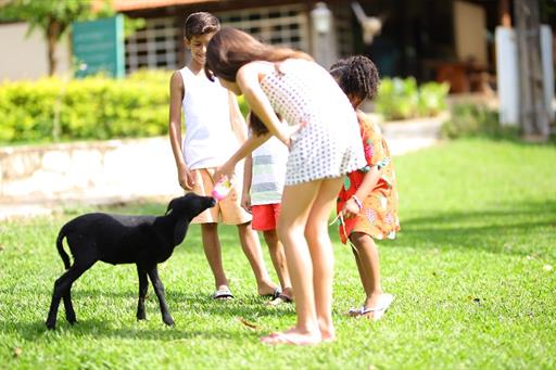 whatsapp image 2025-03-28 at 11.02.17 (2).jpeg