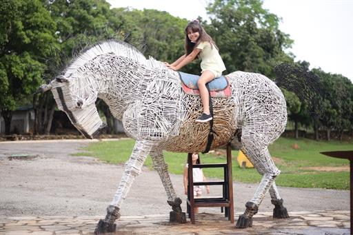 whatsapp image 2025-03-28 at 11.02.16.jpeg