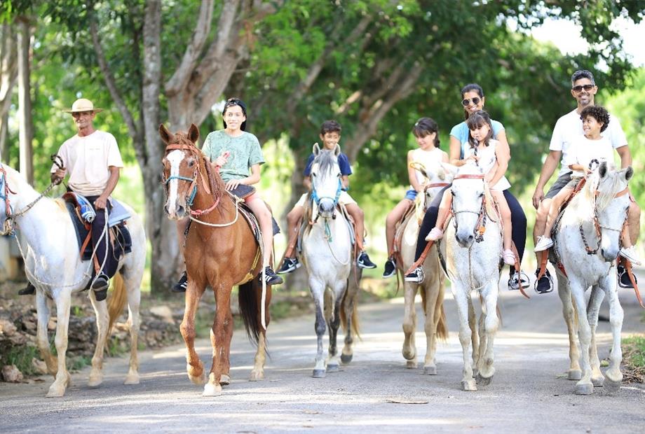 whatsapp image 2025-03-28 at 11.02.17 (1).jpeg