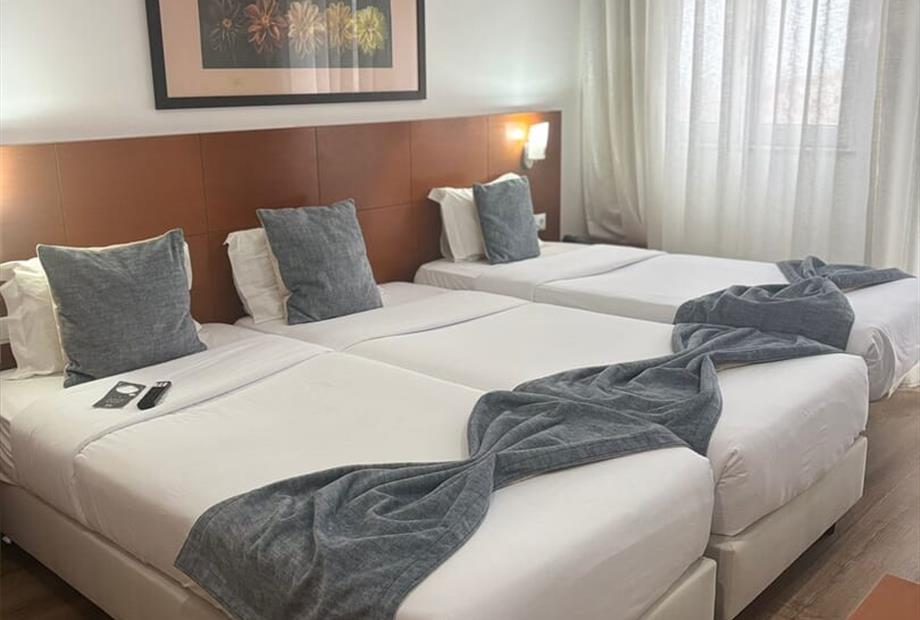 whatsapp image 2026-02-10 at 09.33.58.jpeg