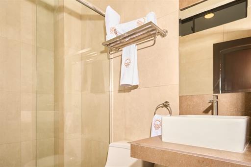 baño hab doble standard 2.jpeg