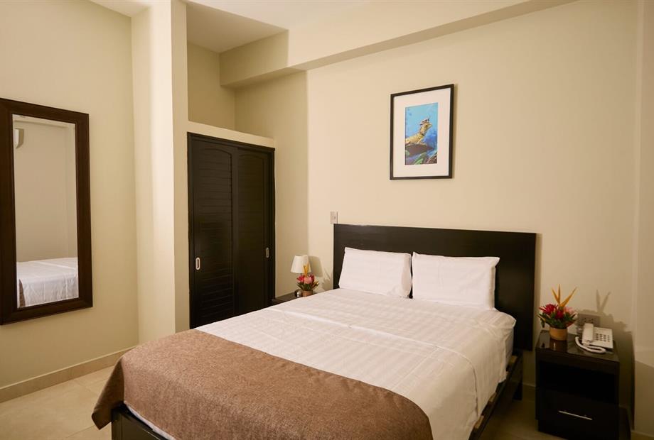 hab doble standard 3.jpeg