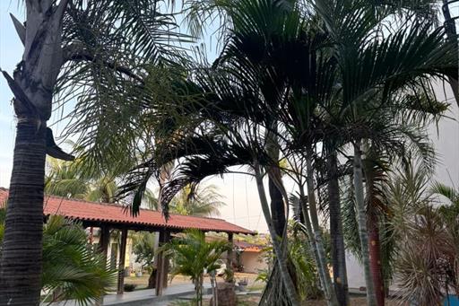 whatsapp image 2025-09-11 at 11.19.31 (1).jpeg