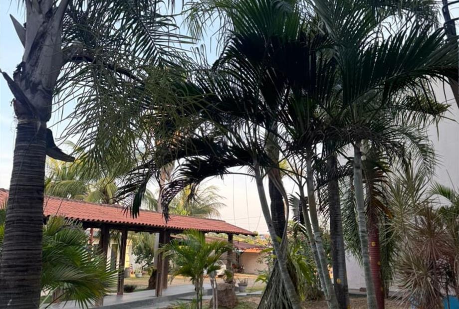 whatsapp image 2025-09-11 at 11.19.31 (1).jpeg