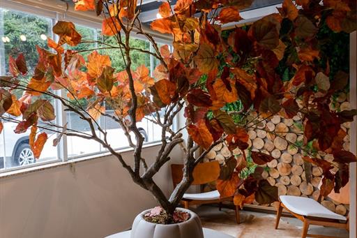 hotel champet 04-25-50.jpg