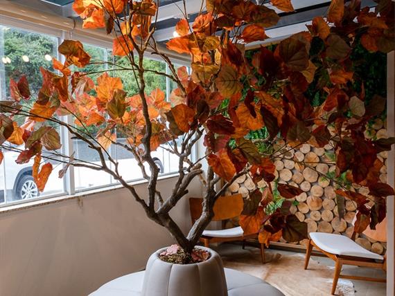 hotel champet 04-25-50.jpg