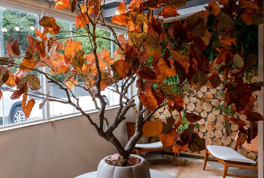 hotel champet 04-25-50.jpg