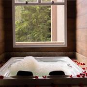 Apartamento Master com Varanda, Banheira de Hidromassagem e Cama King