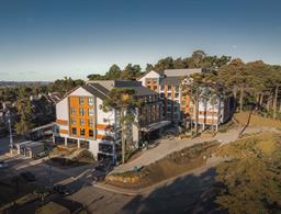 Golden Tulip Canela by Livá