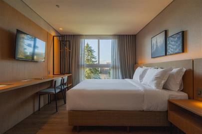 7 suite (3).jpg