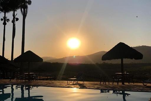 whatsapp image 2021-01-26 at 10.18.36.jpeg